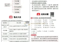 阳光同学小学毕业升学考点大全