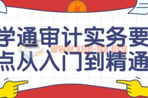 审计实务要点从入门到精通课程