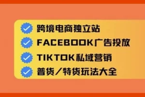 Aron老师跨境电商独立站及全域流量营销课程