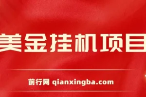 美金挂机项目：官方免费插件自动运行，单窗口日赚12美金，小白友好