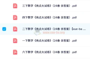 2024年春季1 – 6年级下册数学《亮点大试卷》含答案