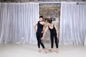 王媛女性塑形指南：16 天速成凹凸身材训练课