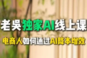 天诺老吴AI课：电商企业借助DeepSeek实现降本增效