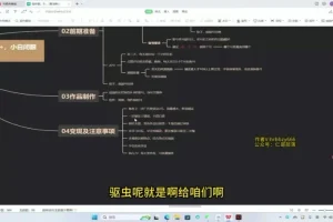 创作猫保姆级掘金计划：新手3天上手，收益丰富