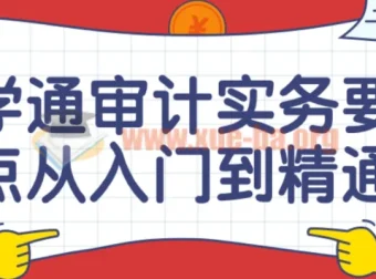 审计实务要点从入门到精通课程
