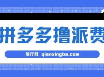 拼多多撸派费项目：2024暴利之选，软件全自动运行
