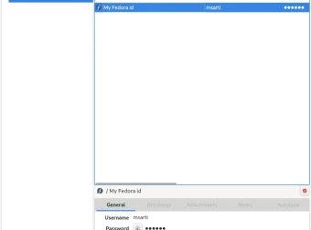 KeePassXC – 开源密码管理器