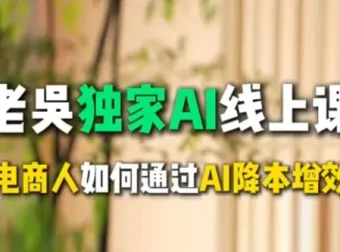 天诺老吴AI课：电商企业借助DeepSeek实现降本增效