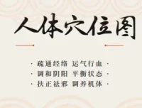 人体穴位图及穴位图解大全