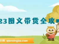 超火图文带货全攻略：从0到1打造图文书单，快速出成果