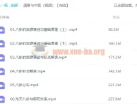 【潘毅】周易与中医（视频课程）