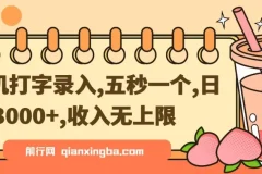 手机打字录入赚钱项目：五秒一个，收益无上限