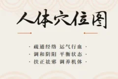 人体穴位图及穴位图解大全