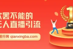 无人直播引流：日引1000+高质量精准创业粉