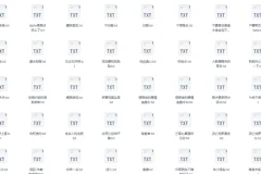 《长佩文学网105本10w+收藏网文小说合集》