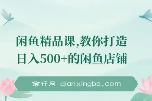 闲鱼精品课：教你打造日入500+的闲鱼店铺