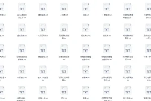 《长佩文学网105本10w+收藏网文小说合集》