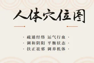 人体穴位图及穴位图解大全