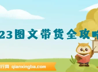 超火图文带货全攻略：从0到1打造图文书单，快速出成果