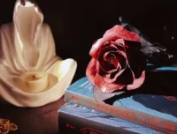 100部恐怖惊悚小说精选书单