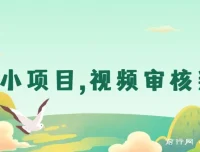 正规小项目：无人售货视频审核判断，日赚几十上百块