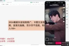 2024抖音短剧推广实战：不违规操作实现轻松月入