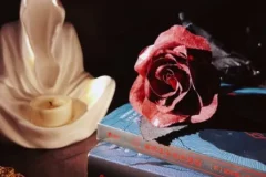 100部恐怖惊悚小说精选书单