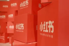 小红书电商实操课：0基础小白掌握平台玩法与运营全流程