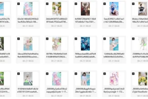 B站【禾兮子幻夏集-泳夏奇遇】付费收藏集