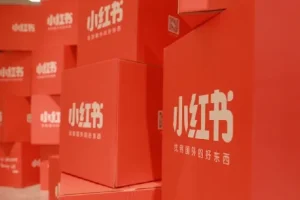 小红书电商实操课：0基础小白掌握平台玩法与运营全流程