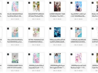 B站【禾兮子幻夏集-泳夏奇遇】付费收藏集