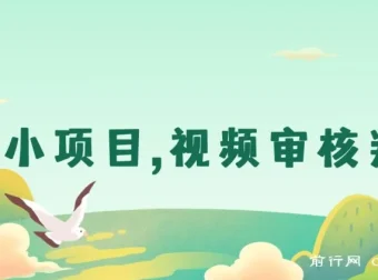 正规小项目：无人售货视频审核判断，日赚几十上百块