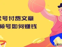 公众号付费文章：揭秘视频号赚钱秘籍