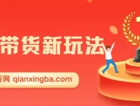 零食带货新玩法课程：5分钟打造原创视频，新手轻松月入3000+