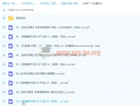 2024初三中考英语林淼冲顶秋季班（下）