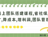 线上团队搭建课程：省社保、聚人才、降成本、增利润，团队管理必备