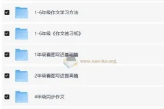 陈心小学语文满分作文课