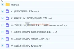 王瑾2024高一化学A+春季班课程