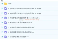 陆杰峰初二语文A+春季班下