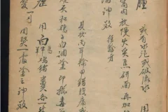 德国某大学收藏的稀缺中医古籍