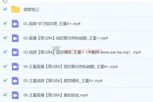 王瑾2024高一化学A+春季班课程