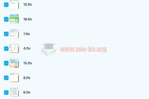 刘飞飞初三中考英语目标A+课程