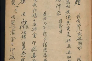 德国某大学收藏的稀缺中医古籍