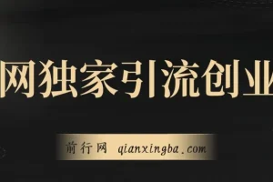 全网独家创业粉引流课程：有操作就有流量，单人单日引流500+，不封号、不费号