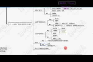 拼多多日销千单实战教程：2025爆款运营最新技巧