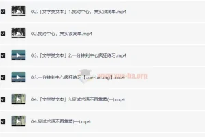 中文系五匪子高中语文全题型方法课
