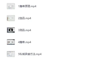 《拼多多虚拟撸单项目：直击下单转化实战指南》