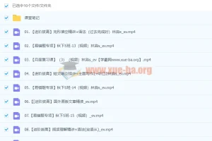 2024初三中考英语林淼冲顶秋季班（下）