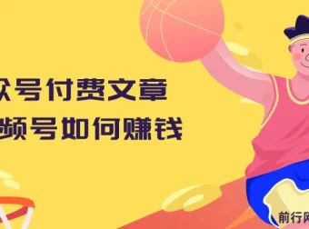 公众号付费文章：揭秘视频号赚钱秘籍