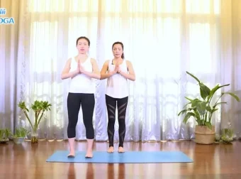 杨淇五行经络瑜伽：能量流养生7课